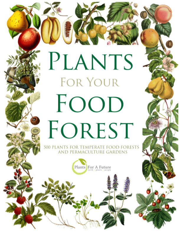 Plants for Your Food Forest: 500 Plants for Temperate Food Forests & Permaculture Gardens.