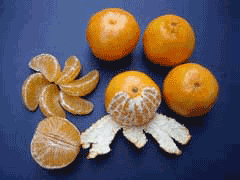 Citrus reticulata Mandarin, Tangerine, Unshu orange, Satsuma Orange,Temple Orange, Tangerine