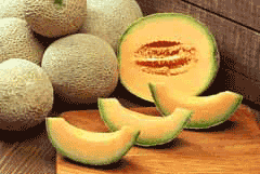 Cucumis melo cantalupensis Cantaloupe Melon Cucumis melo cantalupensis Cantaloupe Melon