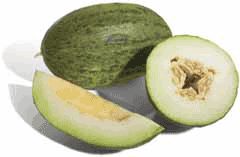 Cucumis melo inodorus Honeydew Melon Cucumis melo inodorus Honeydew Melon