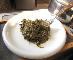 Gnetum africanum Eru, African Jointfir Gnetum africanum Eru, African Jointfir