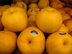 Pyrus pyrifolia culta Asian Pear Pyrus pyrifolia culta Asian Pear