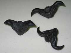 Trapa bicornis Ling, Horn nut Trapa bicornis Ling, Horn nut