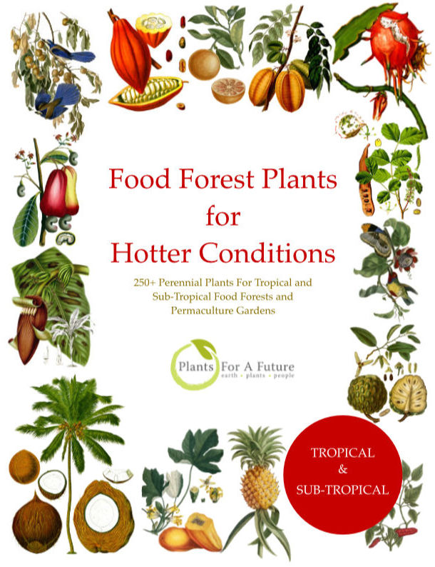 Food Forest Plants for Hotter Conditions: 250+ Plants For Tropical Food Forests & Permaculture Gardens.