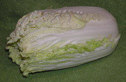 Brassica rapa pekinensis Chinese Cabbage