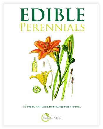 Edible Perennial Book